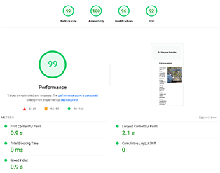 Potential saving example image from the PageSpeed Insights